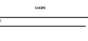 Human CXCR5 qPCR primer set (NM_001716)
