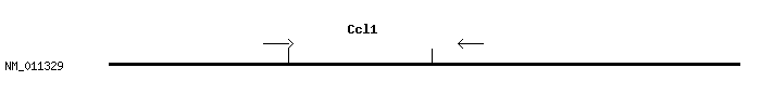Mouse Ccl1 qPCR primer set (NM_011329)