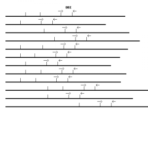 Human DBI qPCR primer set (NM_020548)