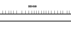 Human DDX60 qPCR primer set (NM_017631)