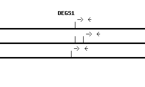 Human DEGS1 qPCR primer set (NM_003676)