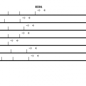 Human DIO1 qPCR primer set (NM_000792)
