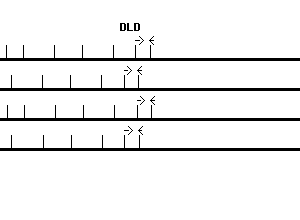 Human DLD qPCR primer set (NM_000108)