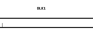 Human DLK1 qPCR primer set (NM_003836)