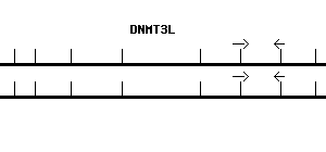 Human DNMT3L qPCR primer set (NM_013369)