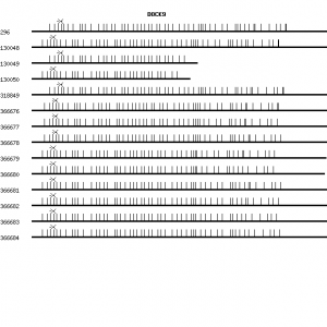 Human DOCK9 qPCR primer set (NM_015296)
