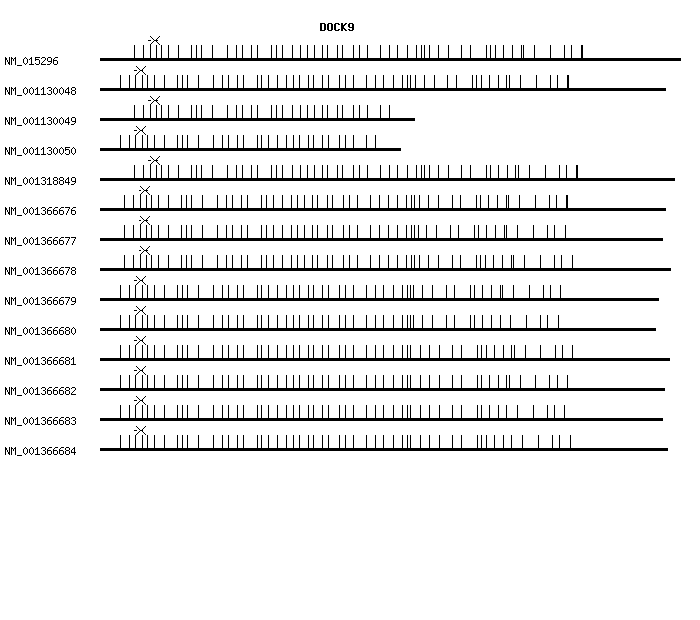 Human DOCK9 qPCR primer set (NM_015296)
