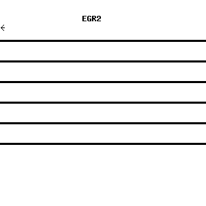 Human EGR2 qPCR primer set (NM_000399)