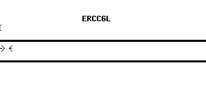 Human ERCC6L qPCR primer set (NM_017669)