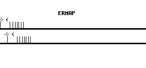 Human ERMAP qPCR primer set (NM_018538)