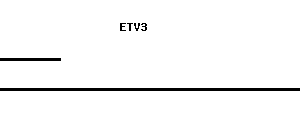 Human ETV3 qPCR primer set (NM_005240)