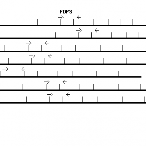 Human FDPS qPCR primer set (NM_002004)
