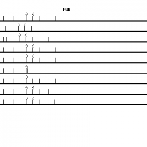 Human FGB qPCR primer set (NM_005141)