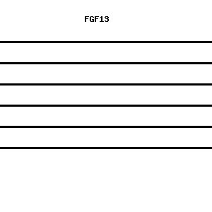 Human FGF13 qPCR primer set (NM_004114)