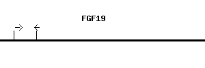Human FGF19 qPCR primer set (NM_005117)