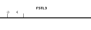 Human FSTL3 qPCR primer set (NM_005860)