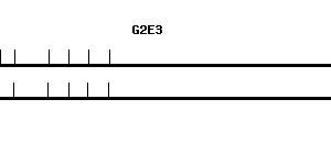 Human G2E3 qPCR primer set (NM_017769)