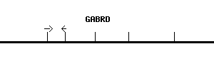 Human GABRD qPCR primer set (NM_000815)