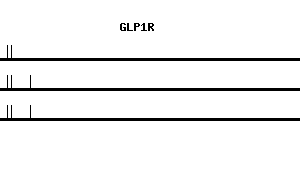 Human GLP1R qPCR primer set (NM_002062)