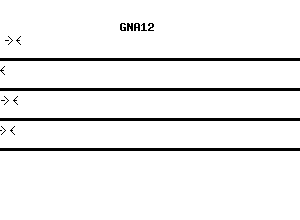 Human GNA12 qPCR primer set (NM_007353)