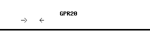 Human GPR20 qPCR primer set (NM_005293)