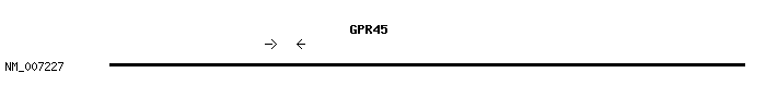 Human GPR45 qPCR primer set (NM_007227)