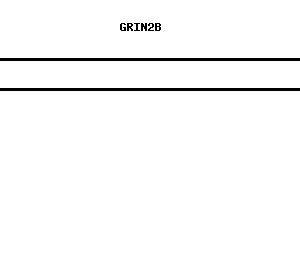 Human GRIN2B qPCR primer set (NM_000834)