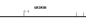 Human GRIN3B qPCR primer set (NM_138690)
