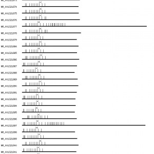 Human HDAC9 qPCR primer set (NM_014707)
