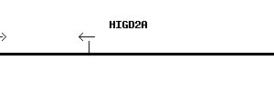 Human HIGD2A qPCR primer set (NM_138820)