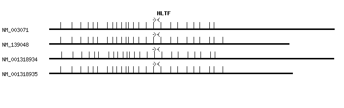 Human HLTF qPCR primer set (NM_003071)