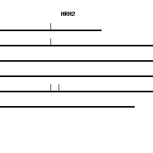 Human HRH2 qPCR primer set (NM_001131055)