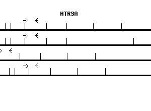 Human HTR3A qPCR primer set (NM_000869)