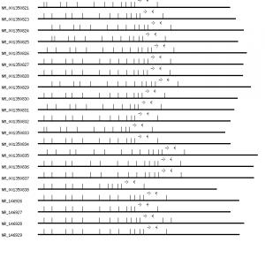 Human ICA1 qPCR primer set (NM_004968)