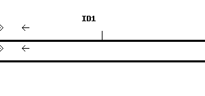 Human ID1 qPCR primer set (NM_002165)