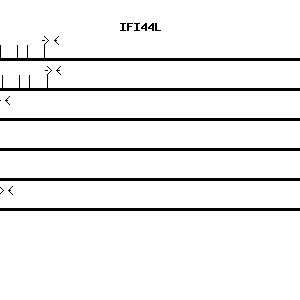 Human IFI44L qPCR primer set (NM_006820)