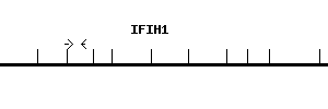 Human IFIH1 qPCR primer set (NM_022168)