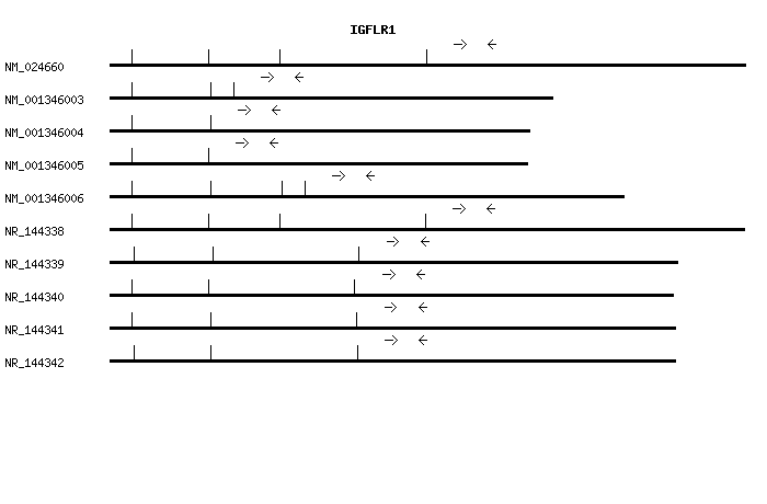Human IGFLR1 qPCR primer set (NM_024660)