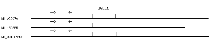 Human IGLL1 qPCR primer set (NM_020070)