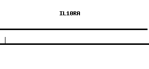 Human IL10RA qPCR primer set (NM_001558)