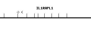 Human IL1RAPL1 qPCR primer set (NM_014271)