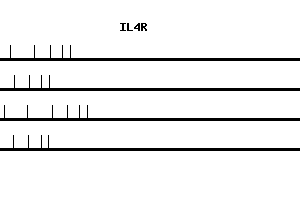 Human IL4R qPCR primer set (NM_000418)