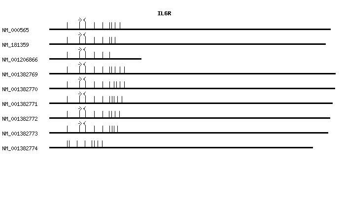 Human IL6R qPCR primer set (NM_000565)