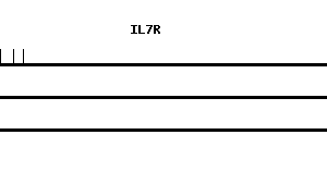 Human IL7R qPCR primer set (NM_002185)