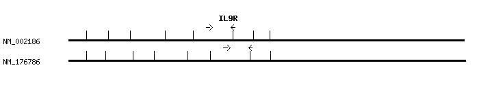 Human IL9R qPCR primer set (NM_002186)
