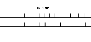 Human INCENP qPCR primer set (NM_020238)