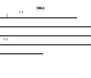Human ING1 qPCR primer set (NM_005537)