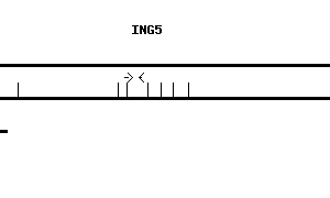 Human ING5 qPCR primer set (NM_032329)