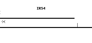 Human IRS4 qPCR primer set (NM_003604)
