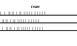 Human ITGAV qPCR primer set (NM_002210)